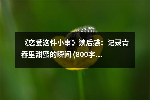 《戀愛這件小事》讀后感：記錄青春里甜蜜的瞬間 (800字)