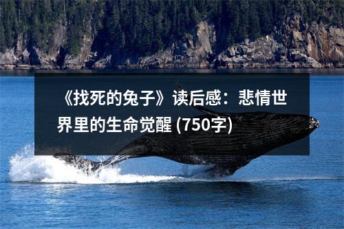 《找死的兔子》讀后感：悲情世界里的生命覺醒 (750字)