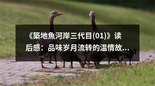 《築地魚河岸三代目(01)》讀后感：品味歲月流轉(zhuǎn)的溫情故事 (900字)