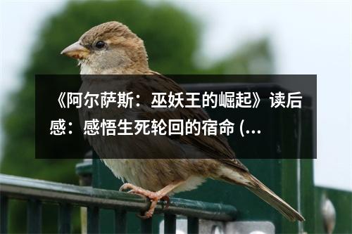 《阿爾薩斯：巫妖王的崛起》讀后感：感悟生死輪回的宿命 (800字)