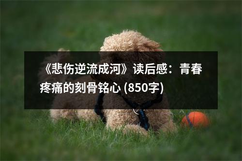 《悲傷逆流成河》讀后感：青春疼痛的刻骨銘心 (850字)