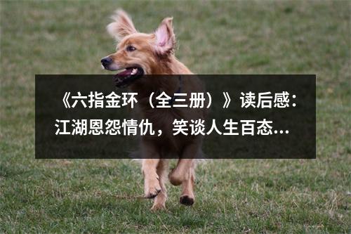 《六指金環(huán)（全三冊(cè)）》讀后感：江湖恩怨情仇，笑談人生百態(tài) (800字)