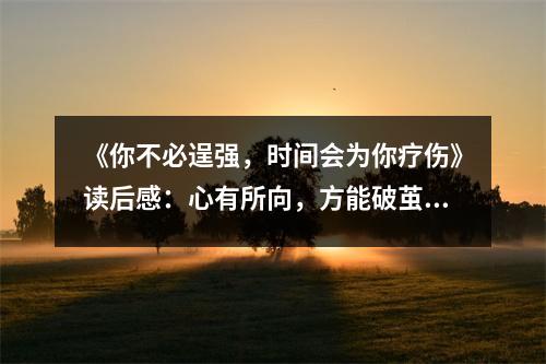 《你不必逞強，時間會為你療傷》讀后感：心有所向，方能破繭成蝶 (900字)