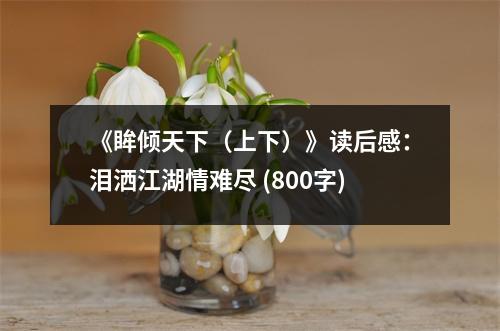 《眸傾天下（上下）》讀后感：淚灑江湖情難盡 (800字)