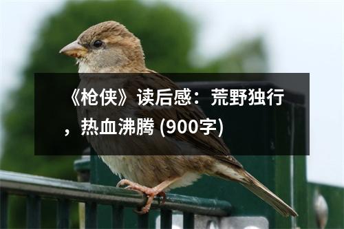 《槍俠》讀后感：荒野獨行，熱血沸騰 (900字)