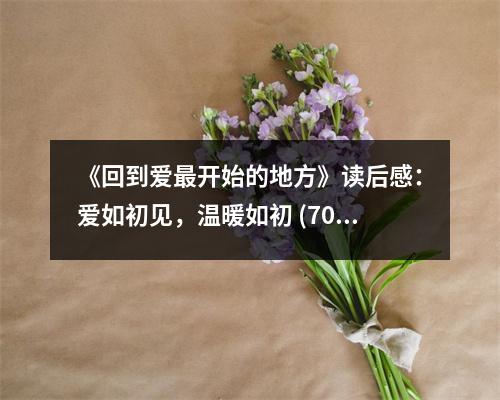 《回到愛最開始的地方》讀后感：愛如初見，溫暖如初 (700字)