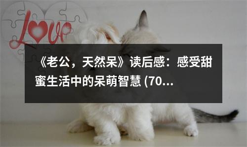 《老公，天然呆》讀后感：感受甜蜜生活中的呆萌智慧 (700字)