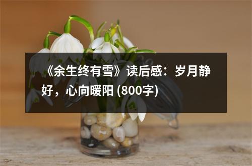 《余生終有雪》讀后感：歲月靜好，心向暖陽 (800字)