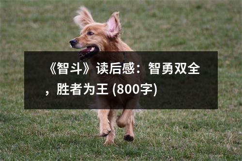 《智斗》讀后感：智勇雙全，勝者為王 (800字)