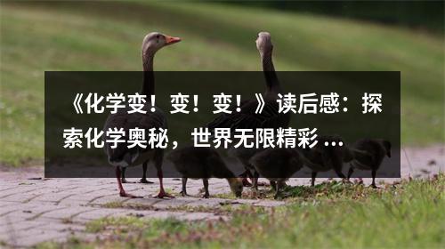 《化學(xué)變！變！變！》讀后感：探索化學(xué)奧秘，世界無限精彩 (800字)