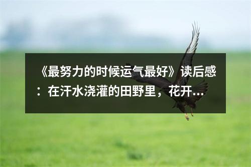《最努力的時(shí)候運(yùn)氣最好》讀后感：在汗水澆灌的田野里，花開得格外絢爛 (1150字)