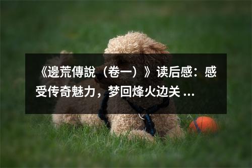 《邊荒傳說（卷一）》讀后感：感受傳奇魅力，夢回烽火邊關(guān) (800字)