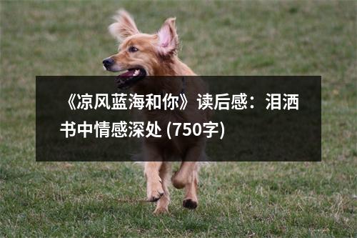 《涼風(fēng)藍(lán)海和你》讀后感：淚灑書中情感深處 (750字)