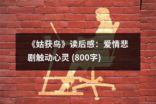 《姑獲鳥》讀后感：愛情悲劇觸動心靈 (800字)