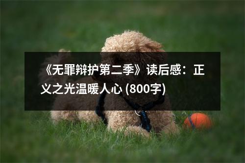 《無罪辯護(hù)第二季》讀后感：正義之光溫暖人心 (800字)