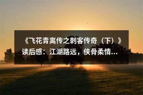 《飛花青離傳之刺客傳奇（下）》讀后感：江湖路遠(yuǎn)，俠骨柔情未了情 (800字)