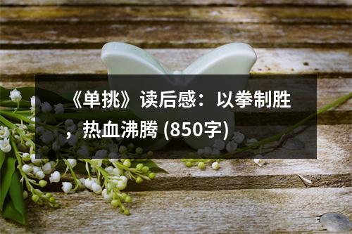 《單挑》讀后感：以拳制勝，熱血沸騰 (850字)