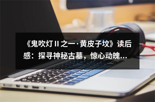 《鬼吹燈Ⅱ之一·黃皮子墳》讀后感：探尋神秘古墓，驚心動(dòng)魄的探險(xiǎn)之旅 (850字)