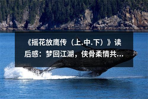 《搖花放鷹傳（上.中.下）》讀后感：夢回江湖，俠骨柔情共飛揚 (850字)