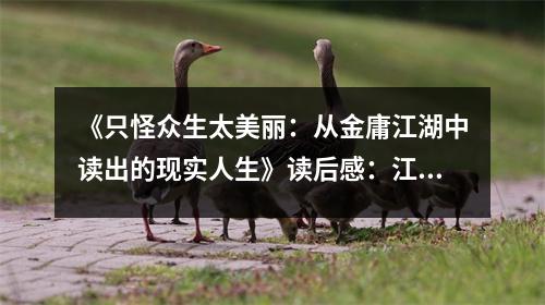 《只怪眾生太美麗：從金庸江湖中讀出的現(xiàn)實(shí)人生》讀后感：江湖恩怨，皆是人生百態(tài) (850字)