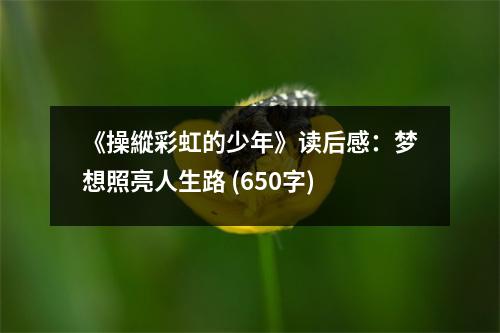 《操縱彩虹的少年》讀后感：夢想照亮人生路 (650字)