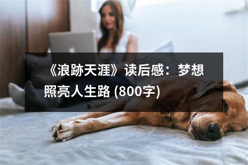 《浪跡天涯》讀后感：夢想照亮人生路 (800字)