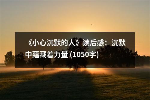 《小心沉默的人》讀后感：沉默中蘊藏著力量 (1050字)