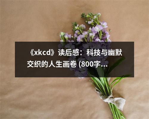 《xkcd》讀后感：科技與幽默交織的人生畫卷 (800字)