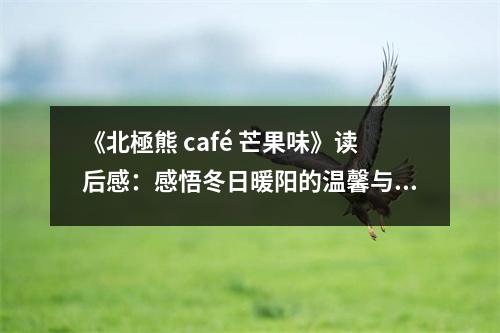《北極熊 café 芒果味》讀后感：感悟冬日暖陽(yáng)的溫馨與甜蜜 (800字)