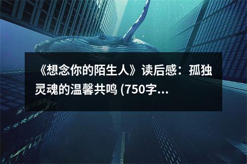 《想念你的陌生人》讀后感：孤獨靈魂的溫馨共鳴 (750字)
