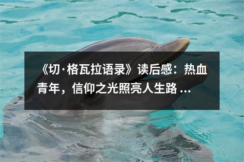 《切·格瓦拉語錄》讀后感：熱血青年，信仰之光照亮人生路 (800字)