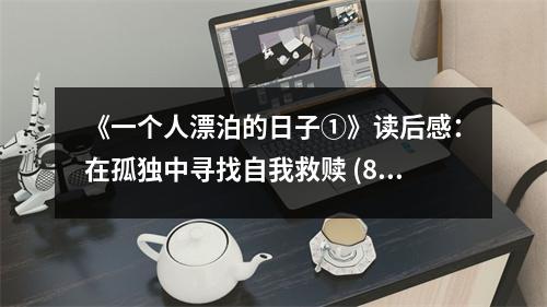 《一個(gè)人漂泊的日子①》讀后感：在孤獨(dú)中尋找自我救贖 (850字)