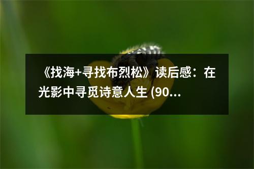 《找海+尋找布烈松》讀后感：在光影中尋覓詩意人生 (900字)