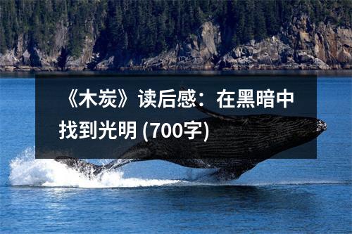 《木炭》讀后感：在黑暗中找到光明 (700字)