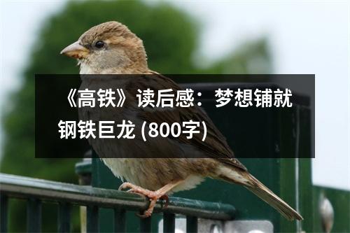 《高鐵》讀后感：夢想鋪就鋼鐵巨龍 (800字)