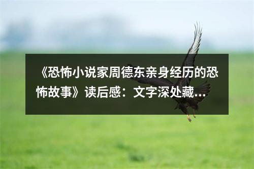 《恐怖小說家周德東親身經(jīng)歷的恐怖故事》讀后感：文字深處藏驚悚 (850字)