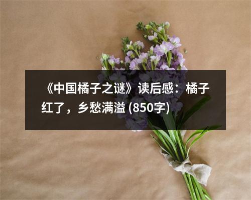 《中國橘子之謎》讀后感：橘子紅了，鄉(xiāng)愁滿溢 (850字)