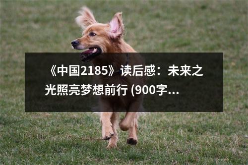 《中國(guó)2185》讀后感：未來(lái)之光照亮夢(mèng)想前行 (900字)