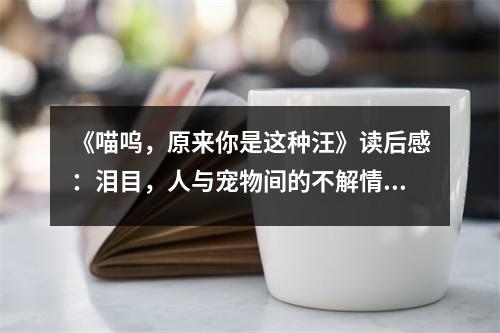《喵嗚，原來你是這種汪》讀后感：淚目，人與寵物間的不解情緣 (1050字)