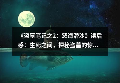 《盜墓筆記之2：怒海潛沙》讀后感：生死之間，探秘盜墓的驚心動魄 (850字)