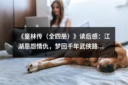 《童林傳（全四冊(cè)）》讀后感：江湖恩怨情仇，夢(mèng)回千年武俠路 (750字)