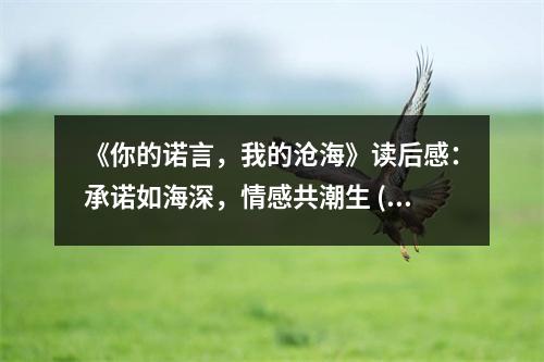 《你的諾言，我的滄?！纷x后感：承諾如海深，情感共潮生 (900字)