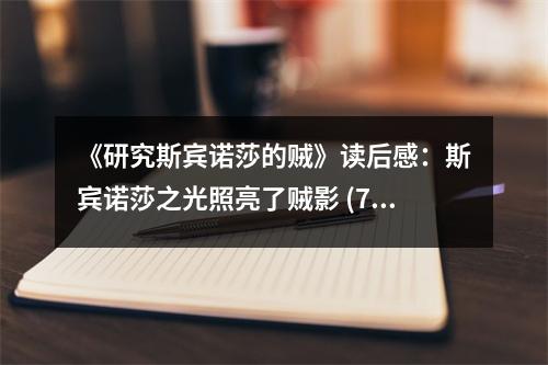 《研究斯賓諾莎的賊》讀后感：斯賓諾莎之光照亮了賊影 (700字)
