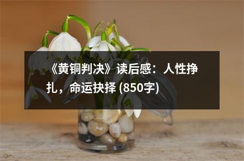 《黃銅判決》讀后感：人性掙扎，命運抉擇 (850字)