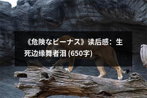 《危険なビーナス》讀后感：生死邊緣舞者淚 (650字)