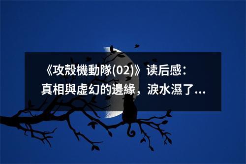 《攻殼機動隊(02)》讀后感：真相與虛幻的邊緣，淚水濕了眼眶 (1050字)