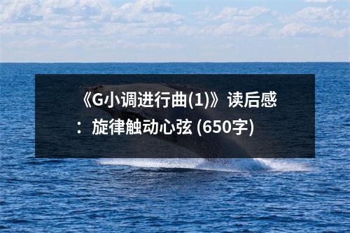 《G小調(diào)進(jìn)行曲(1)》讀后感：旋律觸動心弦 (650字)