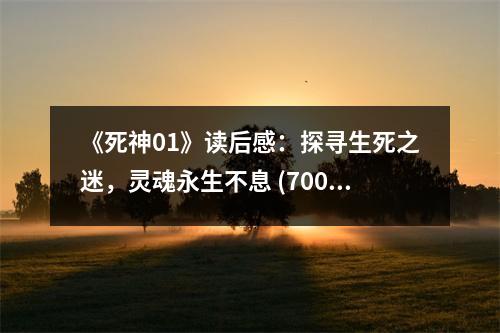 《死神01》讀后感：探尋生死之迷，靈魂永生不息 (700字)