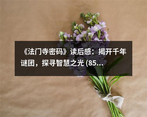 《法門寺密碼》讀后感：揭開千年謎團，探尋智慧之光 (850字)