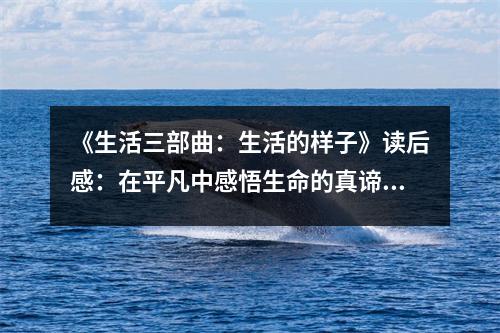 《生活三部曲：生活的樣子》讀后感：在平凡中感悟生命的真諦 (850字)